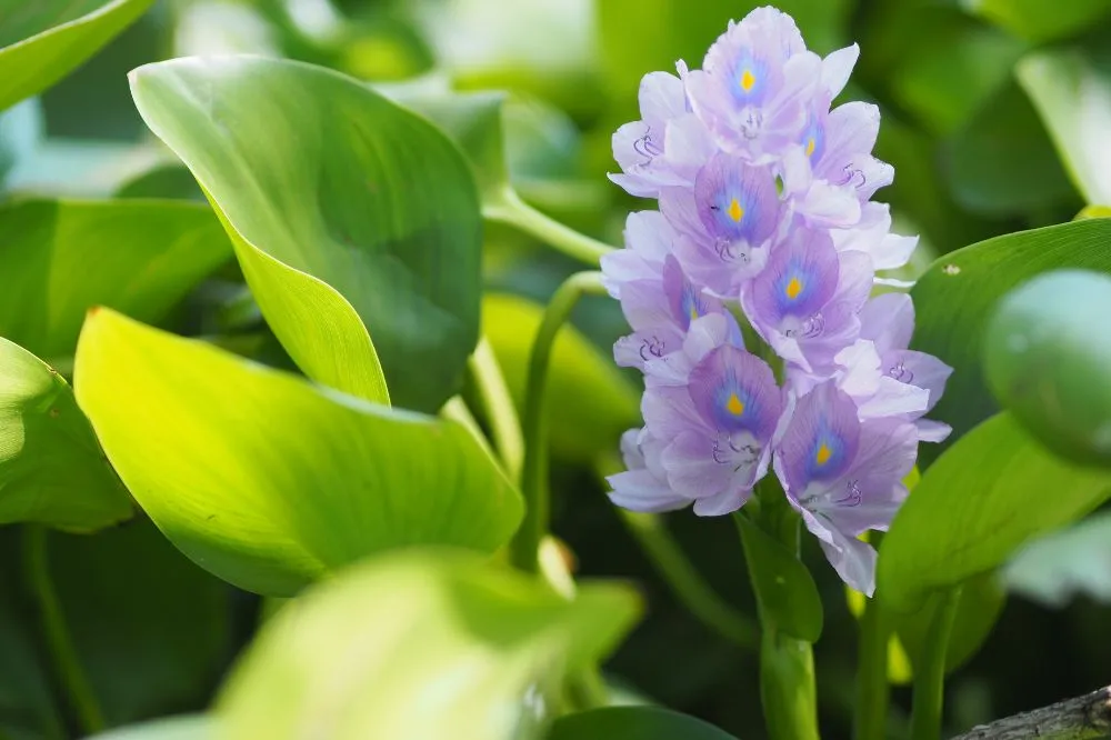 Ảnh của Huynh Luan